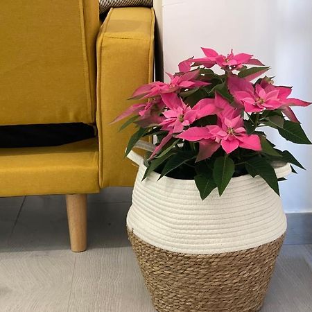 Nuevo Apartamento Folin Don Benito Luaran gambar