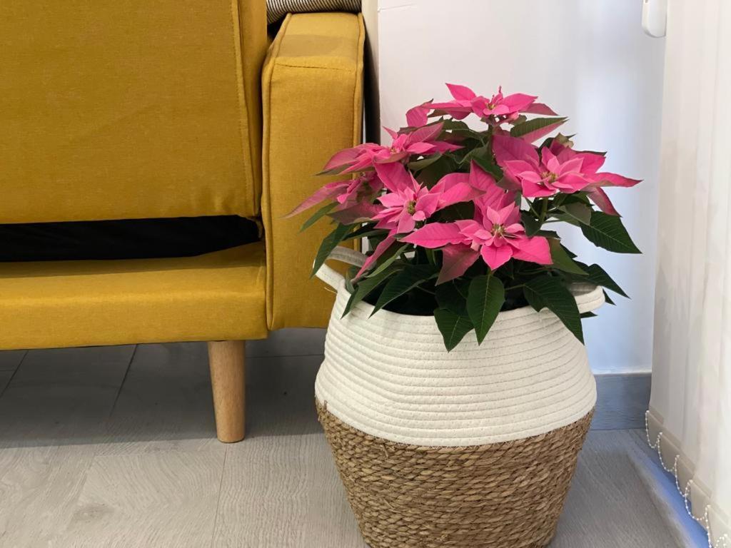 Nuevo Apartamento Folin Don Benito Luaran gambar